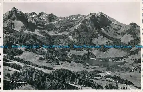 R031977 Schwarzsee. J. Mulhauser