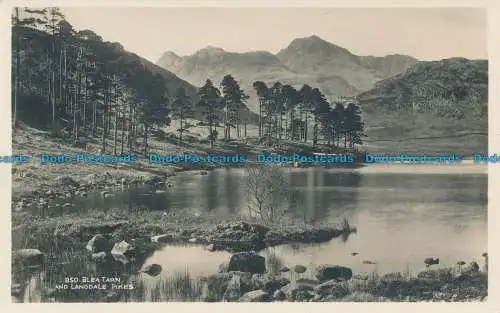 R032771 Blea Tarn und Langdale Hechte. Abraham. RP