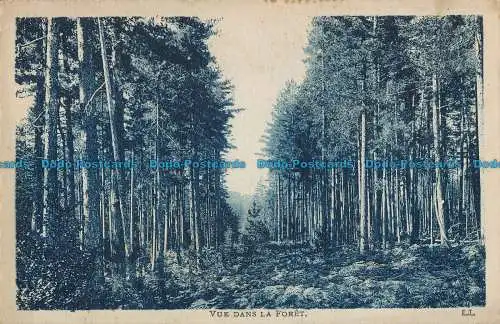 R033889 Blick in den Wald. Levy Fils