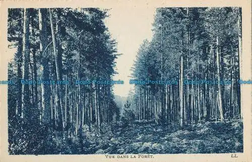 R033927 Blick in den Wald. Levy Fils