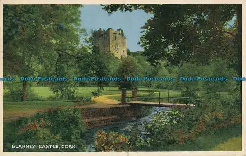 R033323 Blarney Castle. Kork. Dennis. 1963