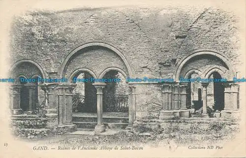 R034646 Gent. Ruinen der Alten Abtei St. Bavon. ND. Nr. 17