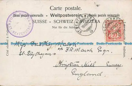 R034649 Gruss aus Interlaken. Paul Gertsch. 1902