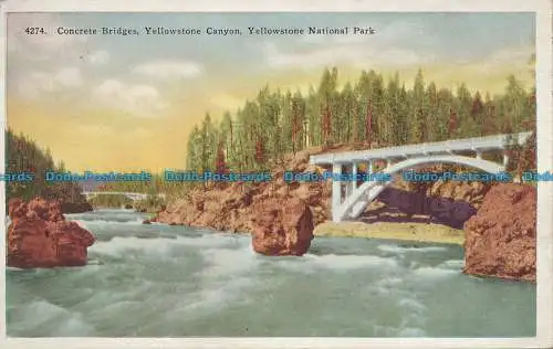 R035061 Betonbrücke. Yellowstone Canyon. Yellowstone Nationalpark