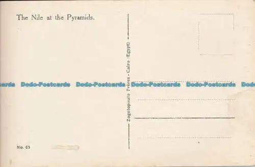 R034774 Der Nil bei den Pyramiden. Brüder. Nr. 63