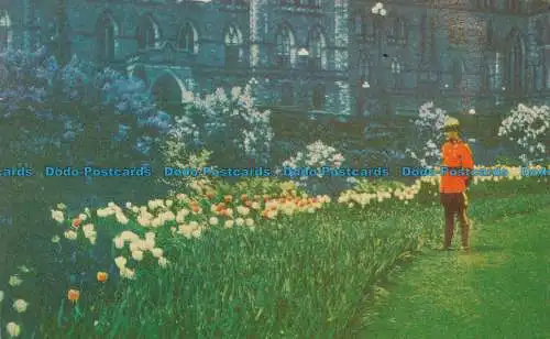 R034806 Tulpenbetten vor Parlamentsgebäuden. Ottawa. 1962