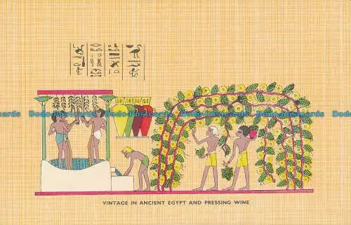 R034855 Vintage im alten Ägypten und Presswein. Lehnert und Landrock