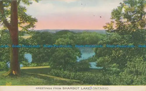 R035279 Grüße aus Sharbot Lake. Ontario. 1957