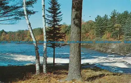 R035428 Grüße aus Muskoka. Ontario. 1972