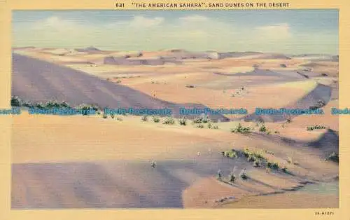 R035449 Die amerikanische Sahara. Sanddünen in der Wüste