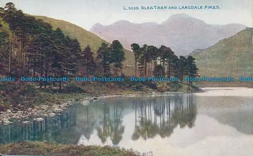 R035628 Blea Tarn und Langdale Hechte. Photochrom. Celesque