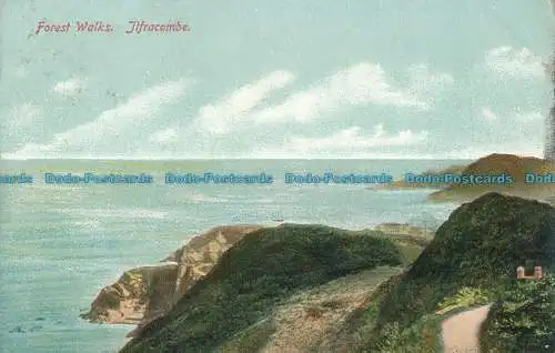 R000696 Waldspaziergänge. Ilfracombe. Imperium. 1905