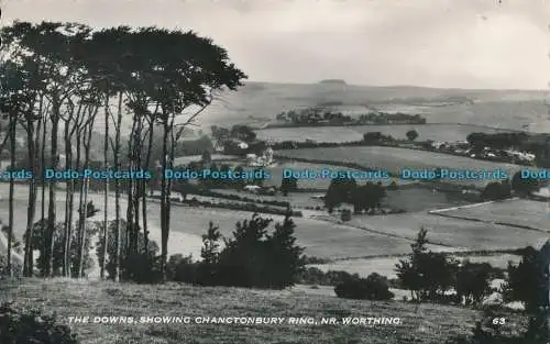 R000925 The Downs mit Chanctonbury-Ring. Nr. Worthing. RP