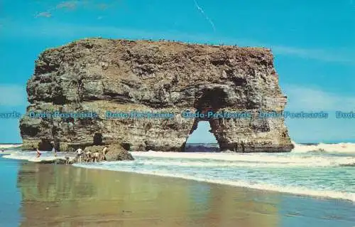 R000782 The Rock. Marsden Bay. Nr. Südschilde. Nr. PT20685