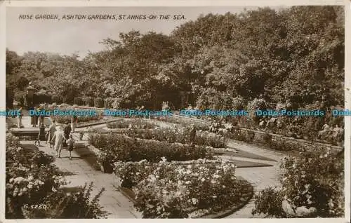 R001003 Rosengärten. Ashton Gardens. St. Annes am Meer. Valentinstag. RP. 1937