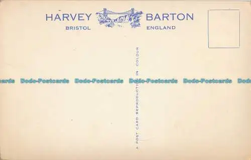 R001209 Cheddar. Multi-View. Harvey Barton