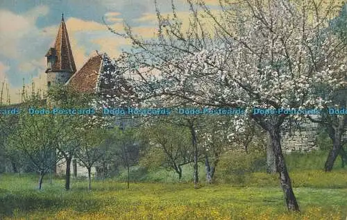 R001574 Alte Postkarte. Burg- und Apfelbäume. Photochromie. 1911