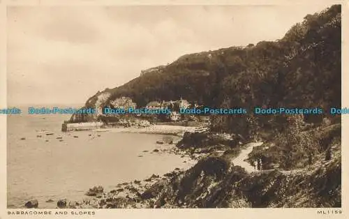 R001820 Babbacombe und Pisten. Nr. ML1159