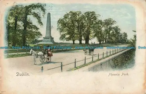 R002352 Dublin. Phoenix Park. 1904