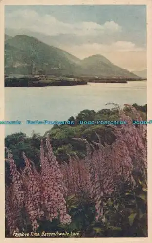 R002386 Fuchshandschuhzeit. Bassenthwaite Lake. 1931