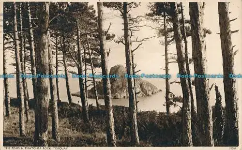 R003481 The Pines und Thatcher Rock. Torquay. 1943