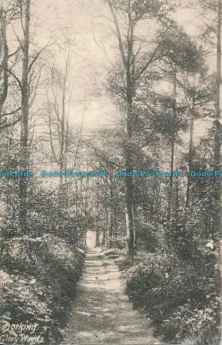 R003511 Dorking. Glory Woods. Frith. 1904