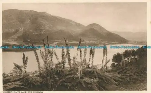 R002533 Bassenthwaite Lake und Skiddaw. Mayson