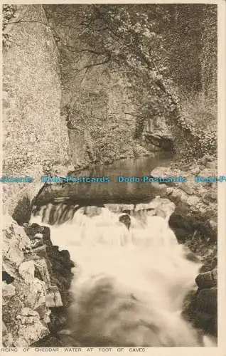 R002631 Aufstieg von Cheddar-Wasser am Fuße von Höhlen. A.G.H. Gough