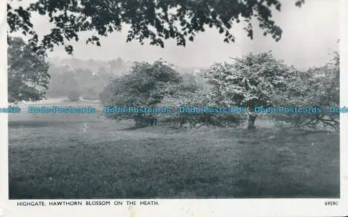 R004288 Highgate. Weißdornblüte auf der Heide. Harvey Barton. RP. 1960