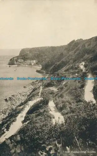 R004295 Babbacombe Hänge. Lachs. Sepio. Nr. 4397