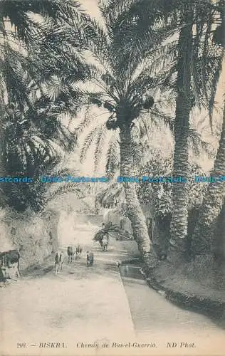 R012041 Biskra. Chemin de Ras el Guerria. ND. Nr. 208. B. Hopkins