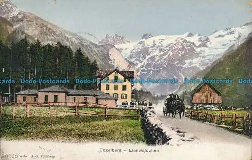 R012088 Engelberg. Eienwaldchen. 1907. B. Hopkins