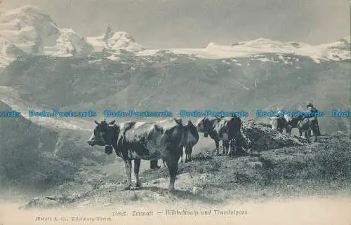 R012535 Zermatt. Hohbalmalp und Theodulpass. Kilchberg. Nr. 15823. B. Hopkins