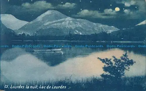 R012351 Lourdes la Nuit. Lourdessee. Viron