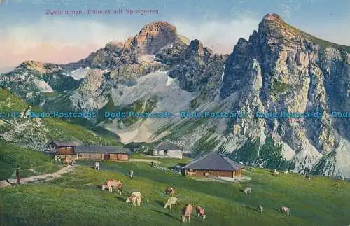 R012794 Zweisimmen. Fromatt mit Spielgarten. G. Müller. B. Hopkins