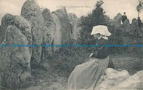 R012916 Carnac. Cromlech von Menec. B. Hopkins