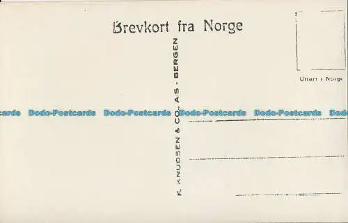 R013239 Skorvefos i Eide. Hardanger. K. Knudsein