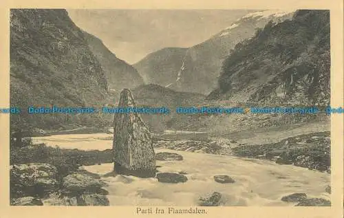 R013244 Teile zwischen Flaamdalen. Paul E. Ritter. Nr. 290