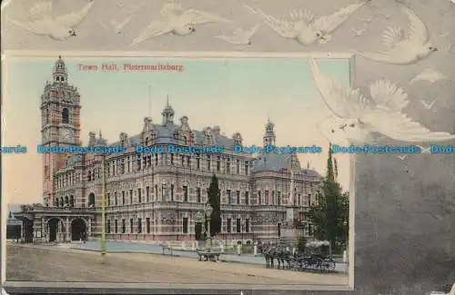 R013491 Rathaus. Pietermaritzburg