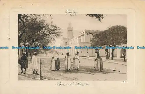 R013576 Biskra. Avenue de Lacroix. 1911. B. Hopkins