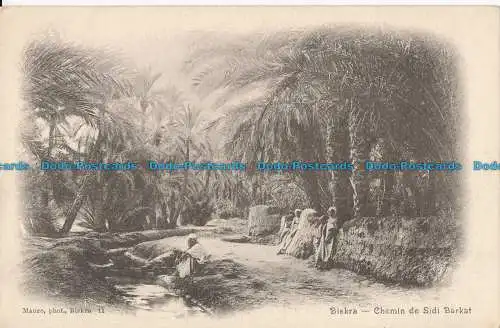 R013577 Biskra. Weg nach Sidi Barkat. Maure. B. Hopkins