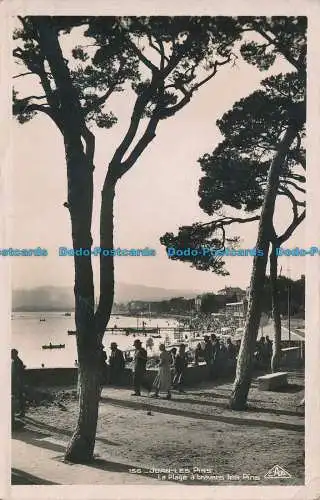 R013585 Juan les Pins. Der Strand hat durch die Kiefern. RP. B. Hopkins