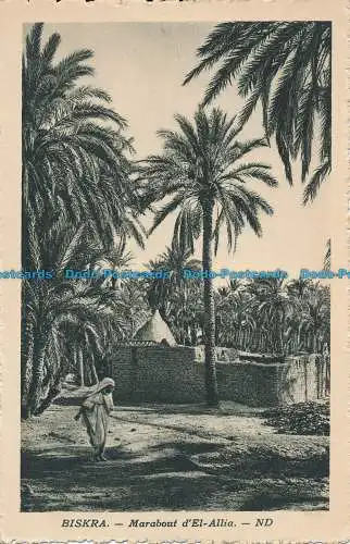 R036001 Biskra. Marabout d El Allia. Levy und Neurdein vereint