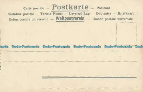 R036109 Alte Postkarte. Zitronenbaum