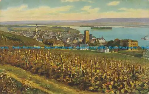 R036615 Rudesheim. Edm von König