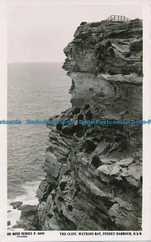 R036812 The Cliff. Watson Bay. Hafen von Sydney. N.S.W. Die Rose. RP