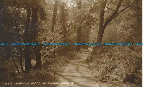 R037158 Carnanton Woods. Nr. Newquay. Judges Ltd. Nr. 12317