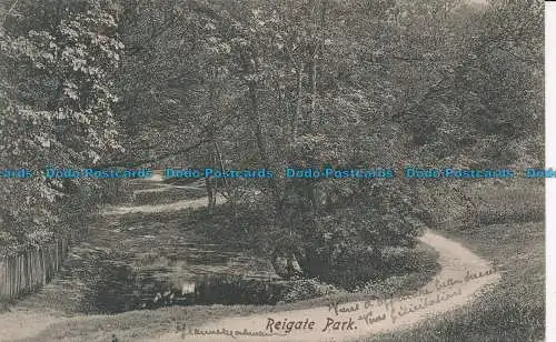 R048071 Reigate Park. Frith. 1905