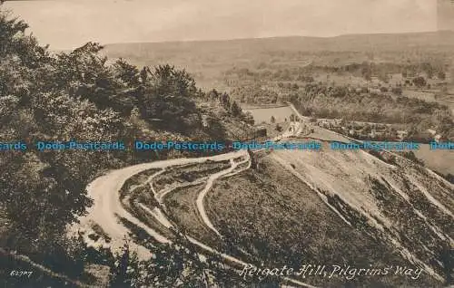 R048841 Reigate Hill. Pilgerweg. Frith. Nr. 62787