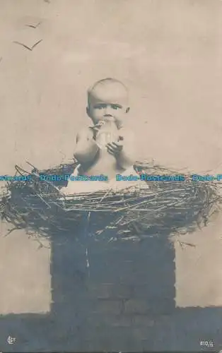 R048527 alte Postkarte. Baby im Nest. 1904